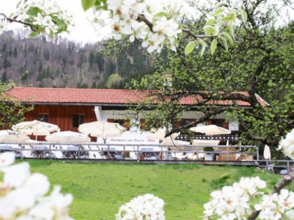 照片: Berggasthof Butzn Wirt
