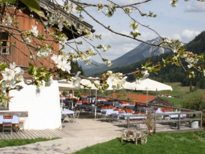 照片: Berggasthof Butzn Wirt